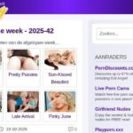 Get More Traffic with Fap.theFappening.one: SEO Tips for Adult Websites
