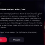 Amateurporn.me: A Fun Platform for High-Quality User Videos and Community Sharing